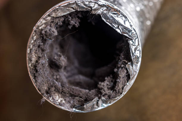 Best HVAC Duct Inspection Services  in Henderson, TX